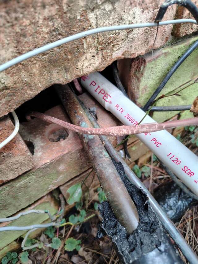 Animal chew in thermostat wire